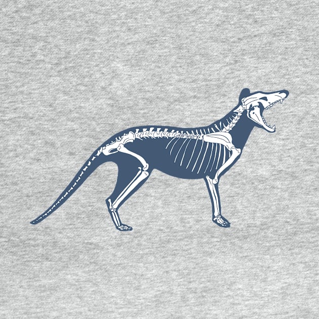 Thylacine skeleton by RJDaae